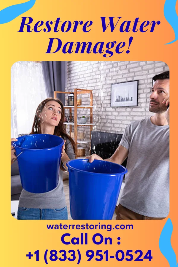 water restoration Advanced Cleanup Partners Plattsburgh West