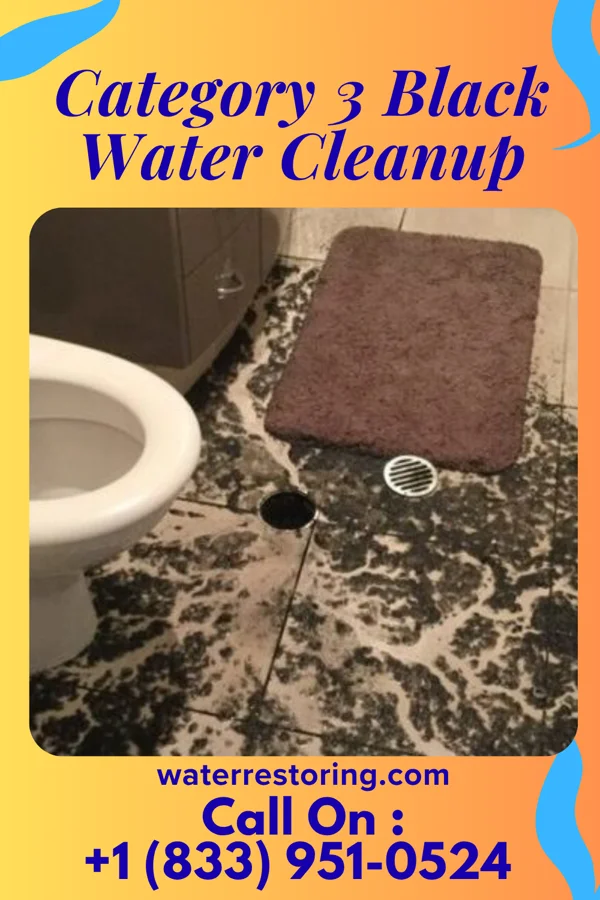 Category 3 Black Water Cleanup in Plattsburgh West, NY