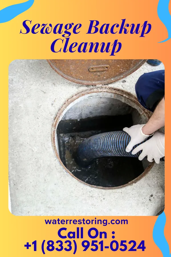 Sewage Backup Cleanup in Plattsburgh West, NY