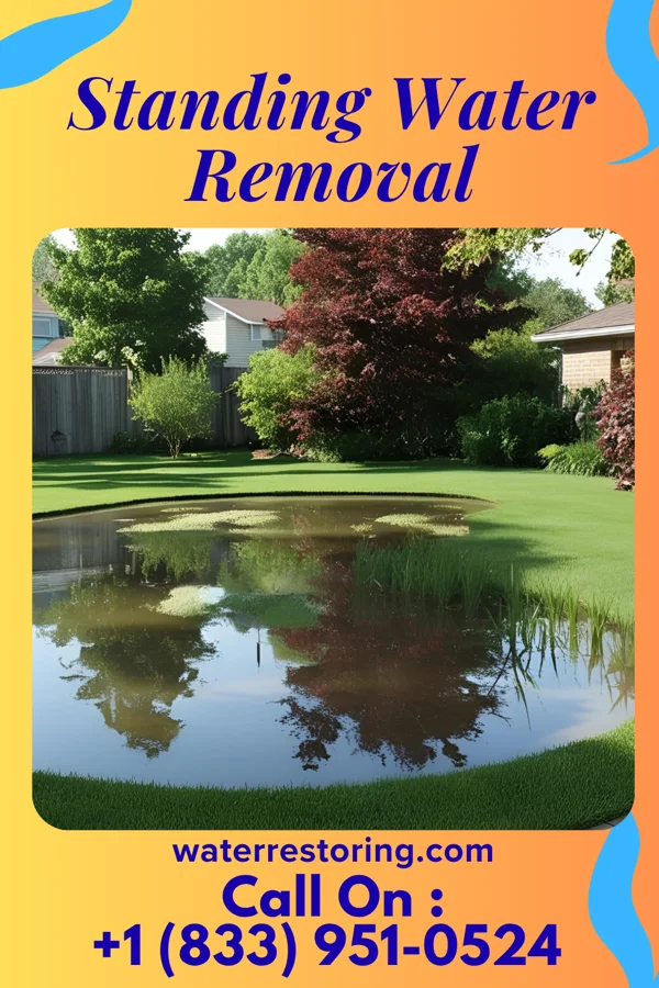 Standing Water Removal in Plattsburgh West, NY